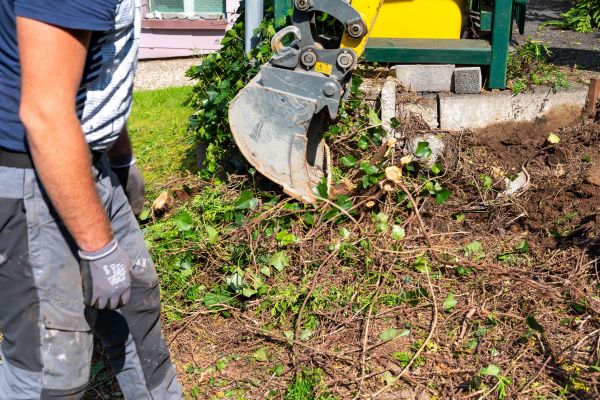 Hedge Removal Service in Yuba City
