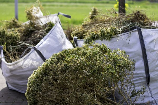 Shrubs Removal in Yuba City