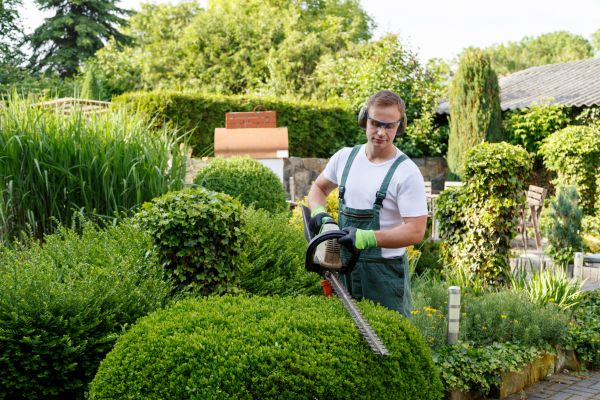 Shrubs Trimming in Yuba City