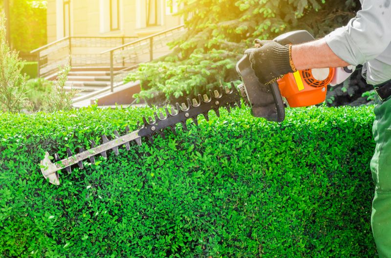 Hedge Removal Service