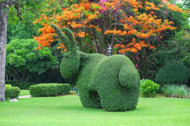 Topiary Shaping
